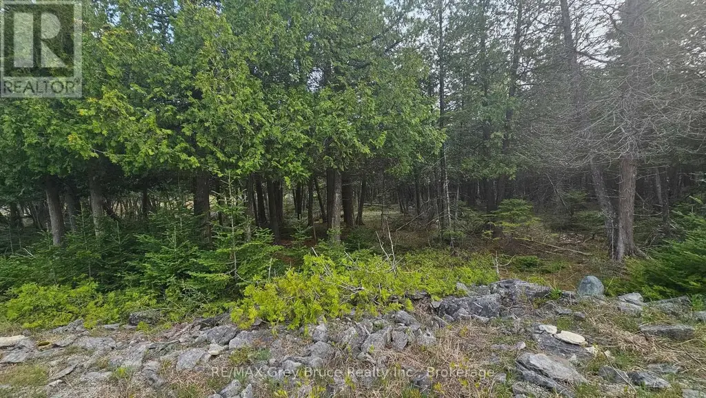 Lt 254 Dorcas Bay Road, Northern Bruce Peninsula